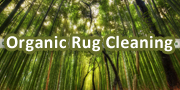 Organic Rug Cleaning